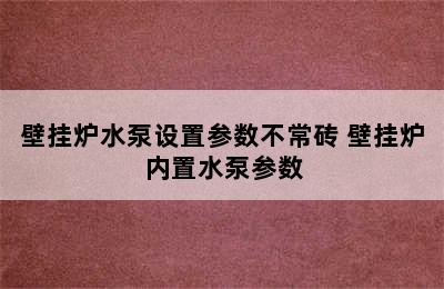 壁挂炉水泵设置参数不常砖 壁挂炉内置水泵参数